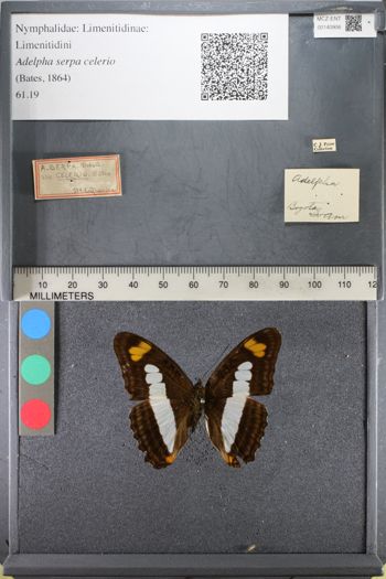 Media type: image;   Entomology 140906